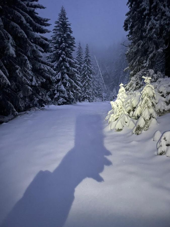 Chata Pod Orechom Terchová Buitenkant foto